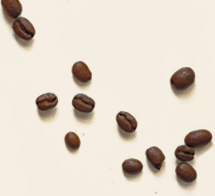 Café en grain
